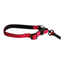 CT0469 1 Pieza De Correa De Resorte & 1 Pieza De Collar Para Mascota