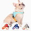 CT2429 1 Pieza De Correa Y 1 Pieza De Pechera Para Mascotas