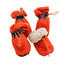CT0721 2 Pares De Zapatos Para Mascota