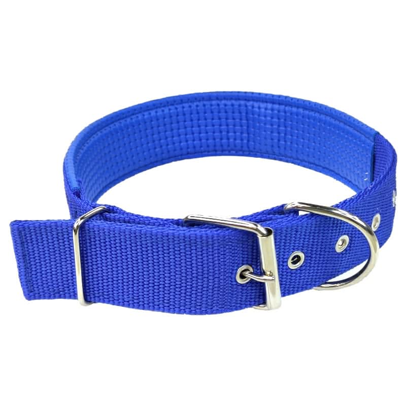 CT1675 1 Pieza De Collar Para Mascota