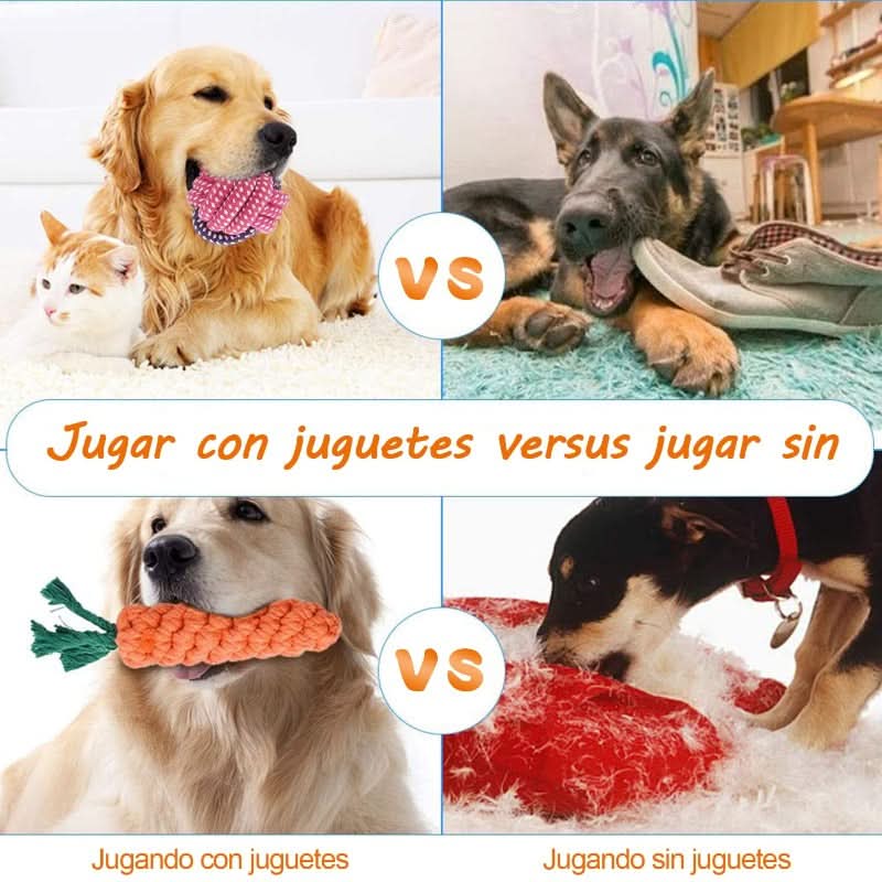 CT1750 1 Set De 10 Piezas Set Juguete De Mascota