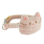 CT2139 1 Pieza Collar Para Mascota Con Diseño De Gato