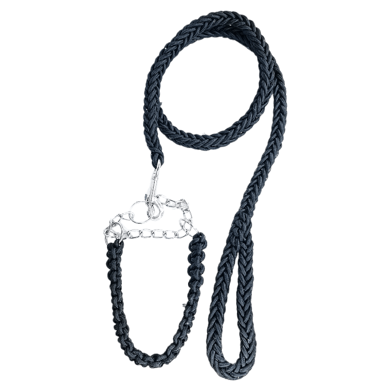 CT2481 1 Pieza Correa & 1 Pieza Collar Para Perro