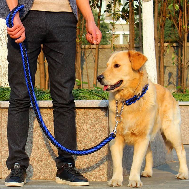 CT2481 1 Pieza Correa & 1 Pieza Collar Para Perro