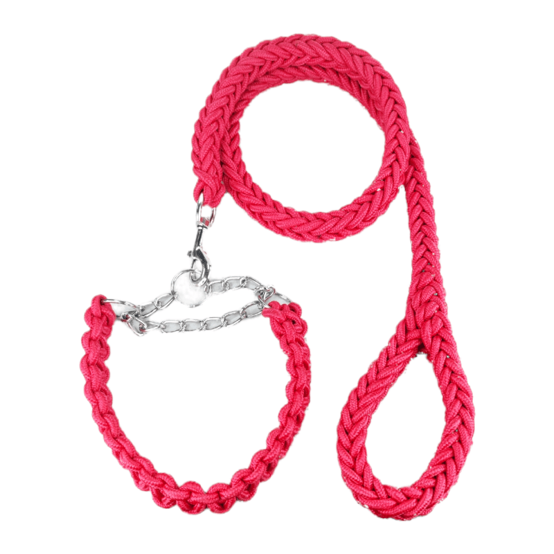 CT2481 1 Pieza Correa & 1 Pieza Collar Para Perro