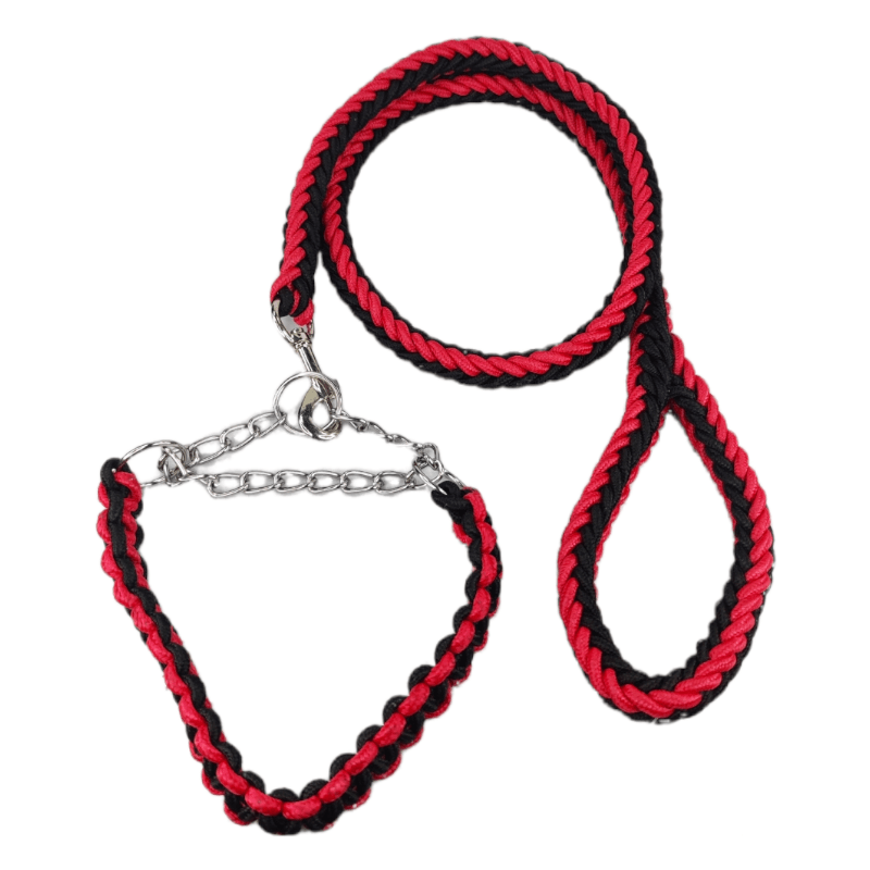 CT2481 1 Pieza Correa & 1 Pieza Collar Para Perro