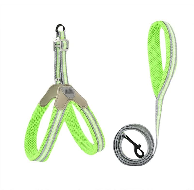 CT2535 1 Pieza Correa & 1 Pieza Pechera/Arnés Para Mascota