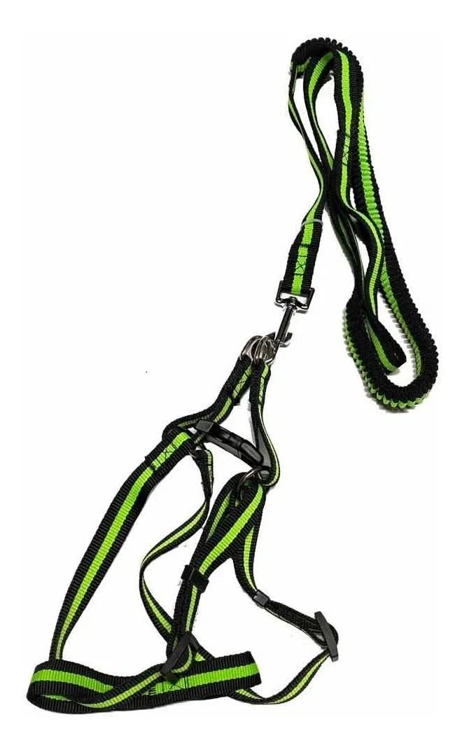 CT2931 1 Pieza de Correa Elástica & 1 Pechera Para Perros