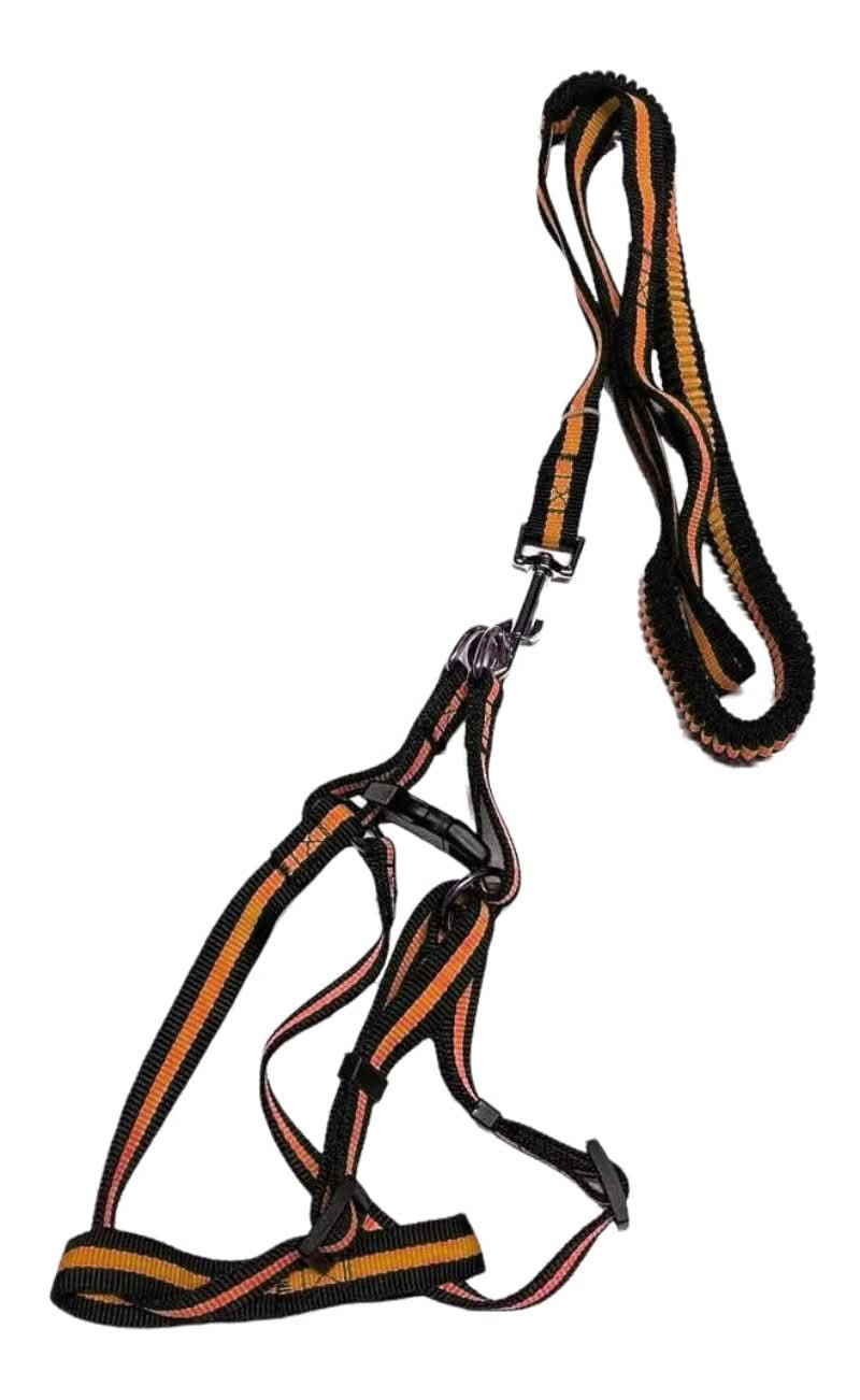 CT2931 1 Pieza de Correa Elástica & 1 Pechera Para Perros