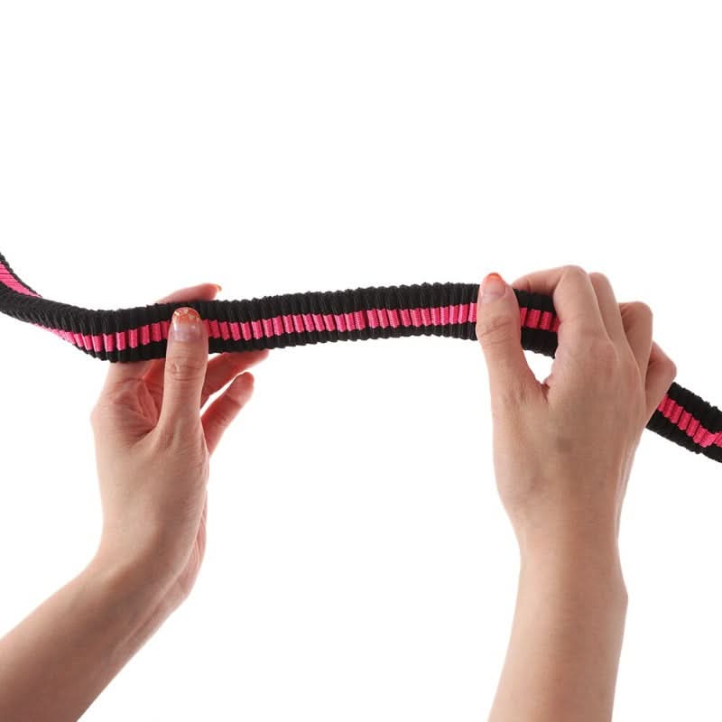 CT2931 1 Pieza de Correa Elástica & 1 Pechera Para Perros