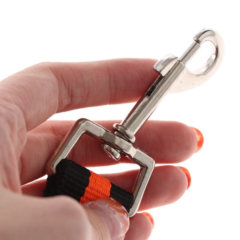 CT2931 1 Pieza de Correa Elástica & 1 Pechera Para Perros