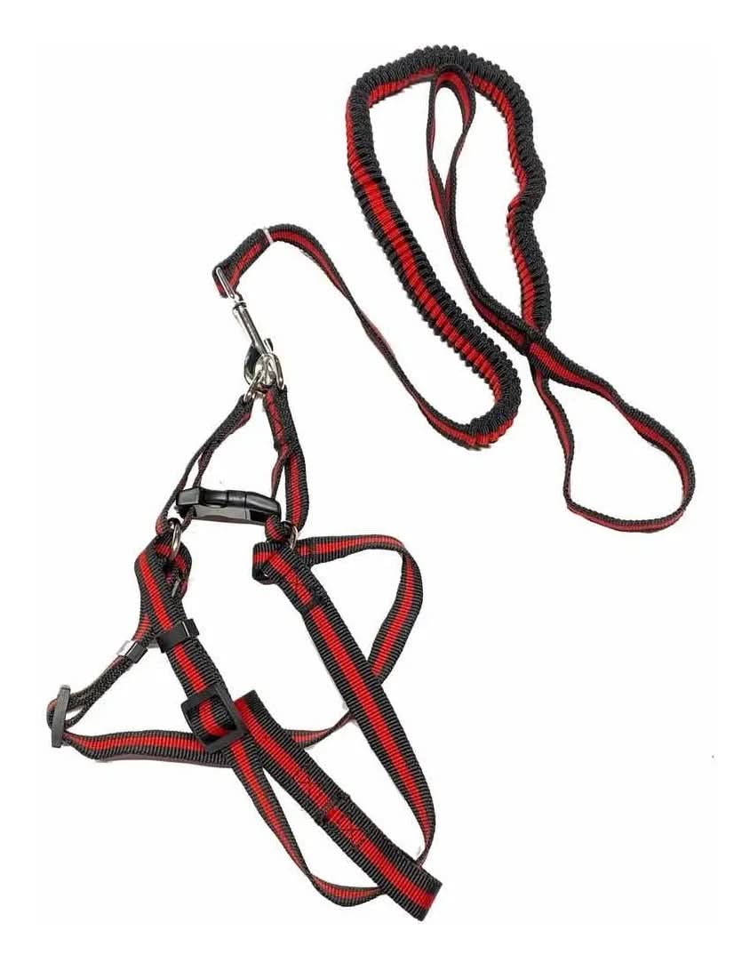 CT2931 1 Pieza de Correa Elástica & 1 Pechera Para Perros