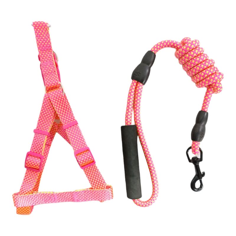 CT2993 1 Pieza De Pechera Y 1 Pieza De Correa Para Mascotas