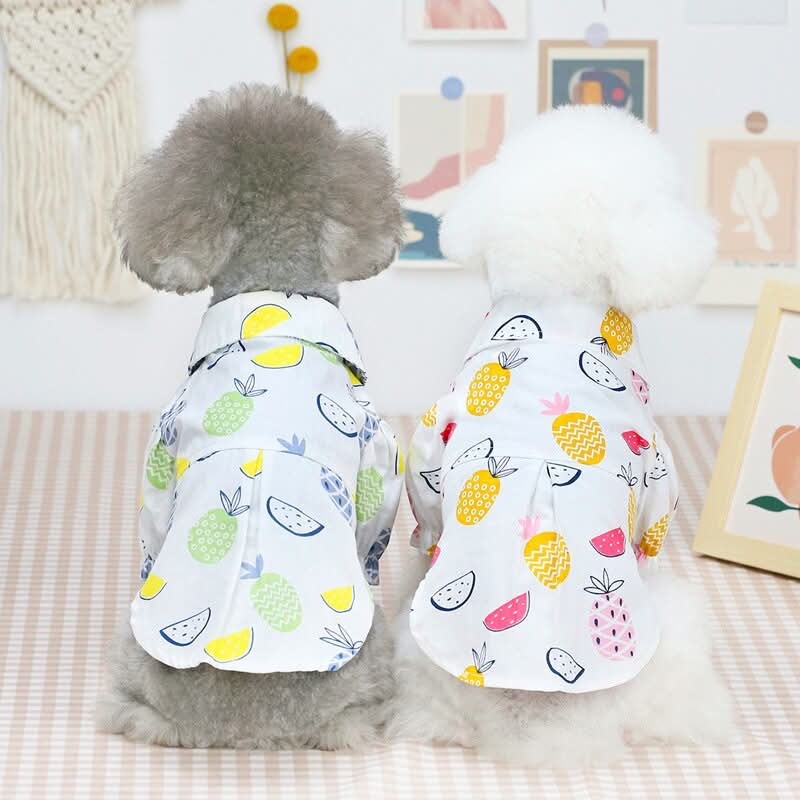 CT3417 1 Pieza De Ropa Para Mascota