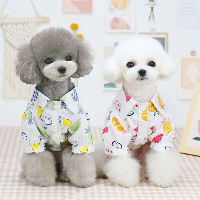 CT3417 1 Pieza De Ropa Para Mascota