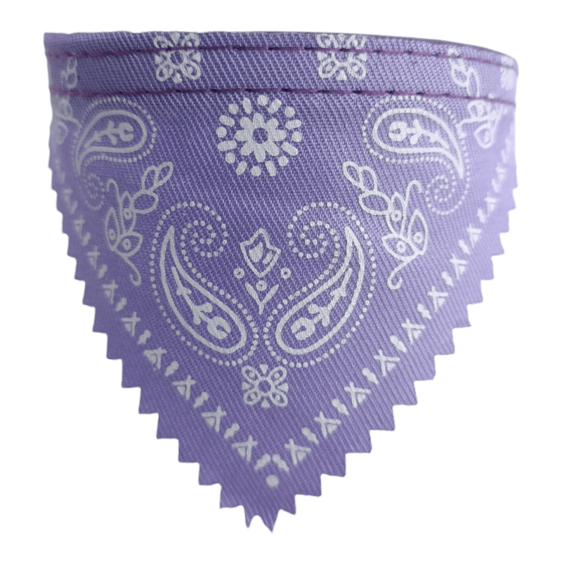 CT3655  1 Pieza De Collares Para Mascotas Con Diseño De Paliacate Ch