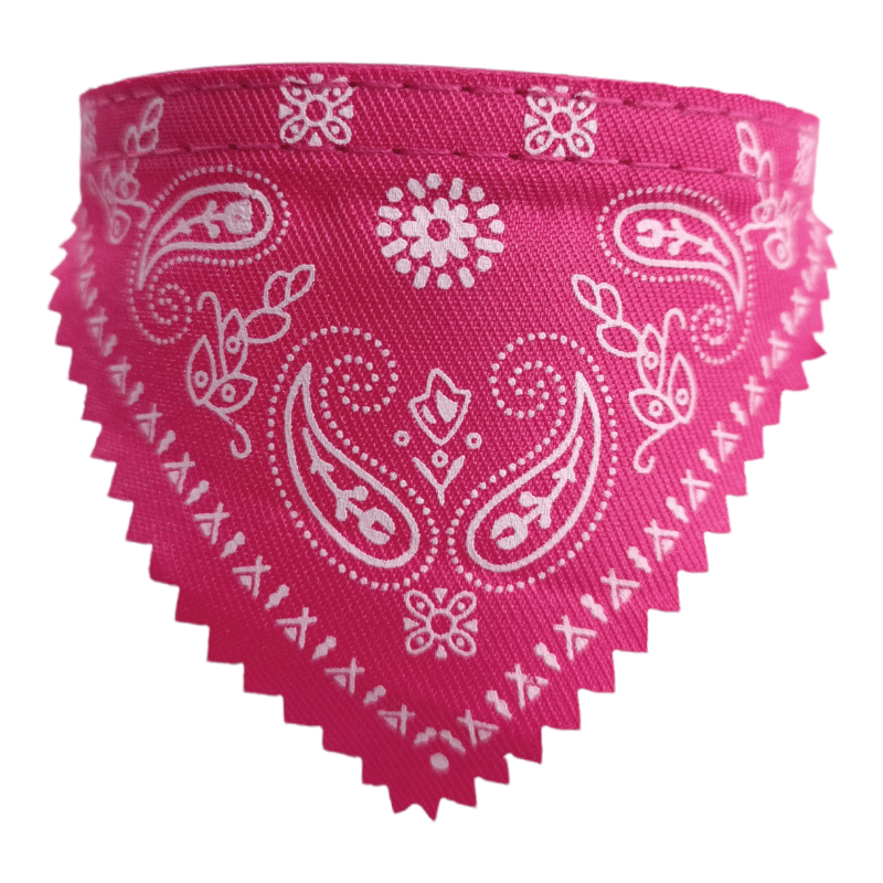 CT3655  1 Pieza De Collares Para Mascotas Con Diseño De Paliacate Ch