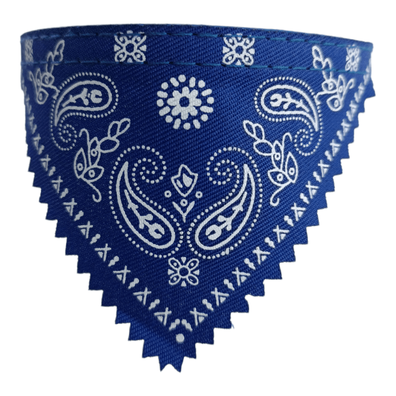 CT3655  1 Pieza De Collares Para Mascotas Con Diseño De Paliacate Ch