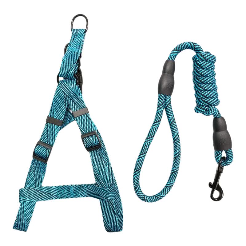 CT4133 1 Pieza Correa & 1 Pieza Pechera/Arnés