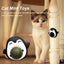 CT7524 1 Pieza De Catnip Juguete Bola Golosina Para Gato