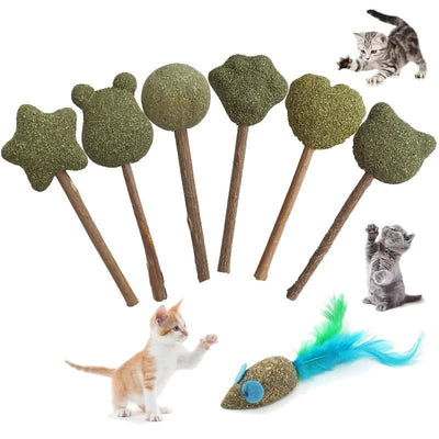 CT9908 1 Pieza Juguete Con Catnip De Figuras Para Mascota